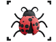 Implement Bug Fixes and Updates